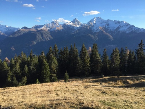 BnB and more Alvaneu Dorf image 28